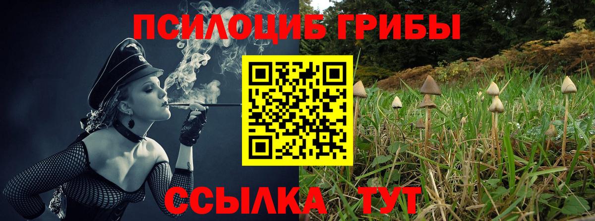 Галлюциногенные грибы Psilocybine cubensis Наро-Фоминск