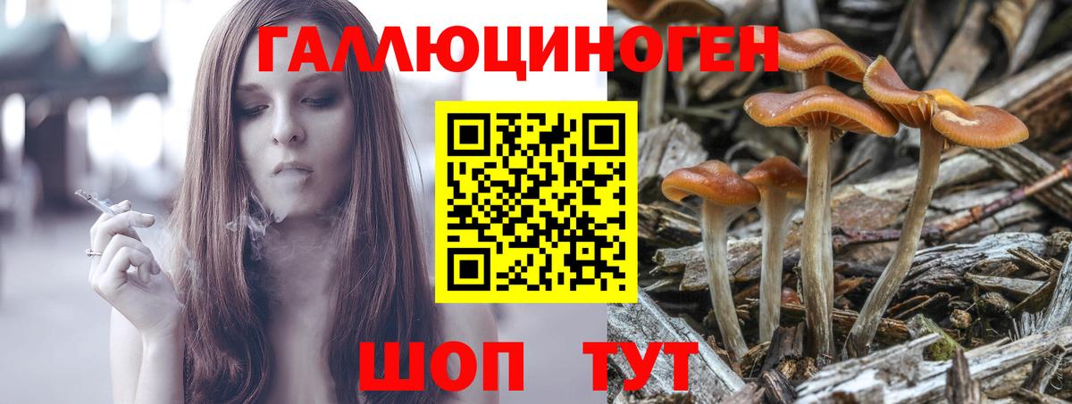Наро-Фоминск  Псилоцибиновые грибы Cubensis  Псилоцибиновые грибы MAGIC MUSHROOMS  Вход с VPN 